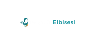 tesettur logo tesettur logo